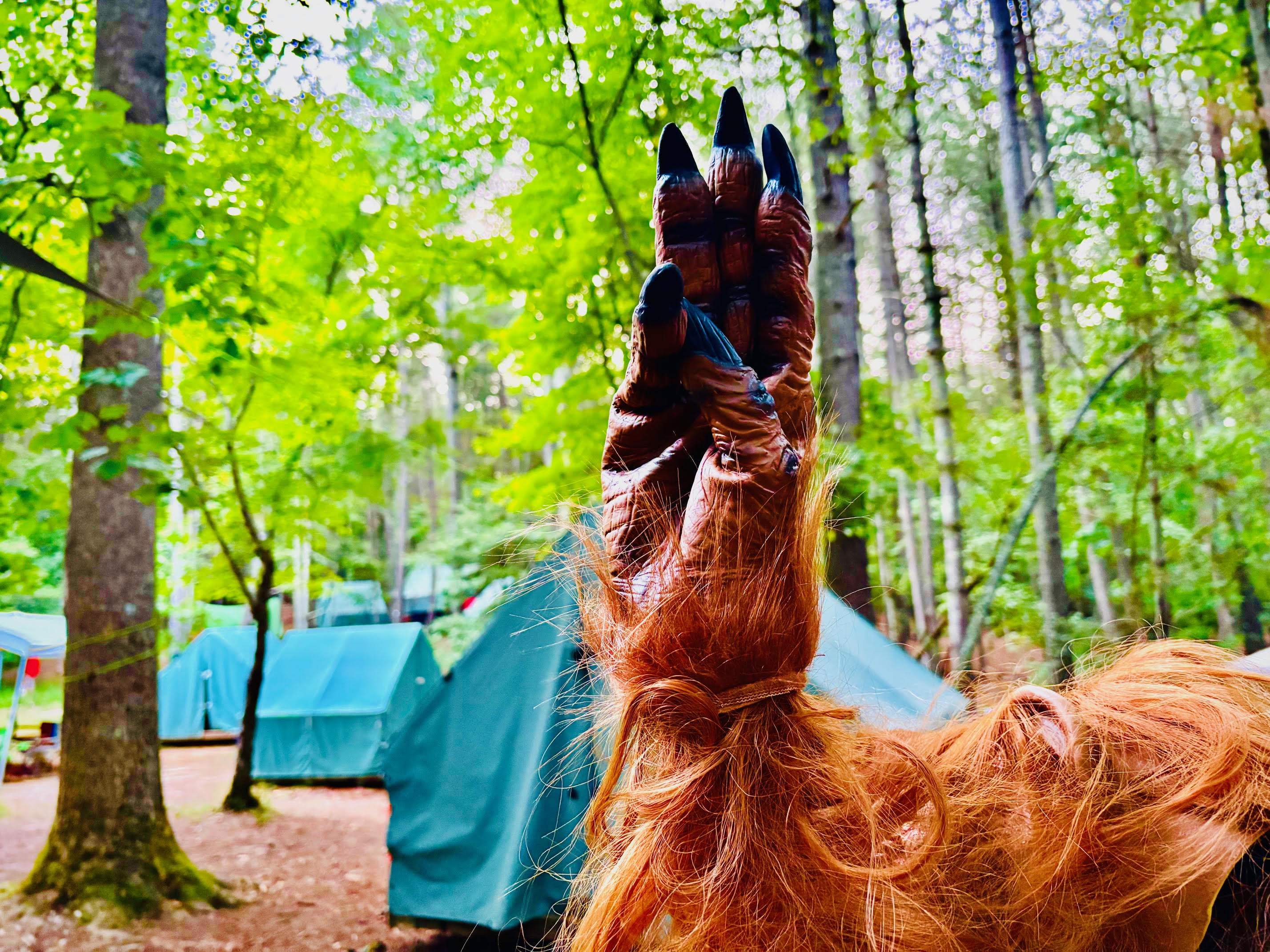 Bigfoot at Camp Woodruff